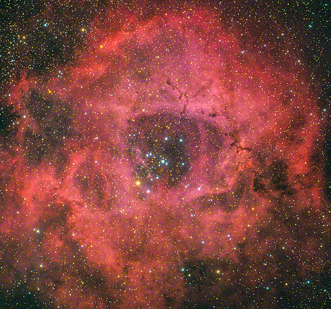 Rosette Nebula