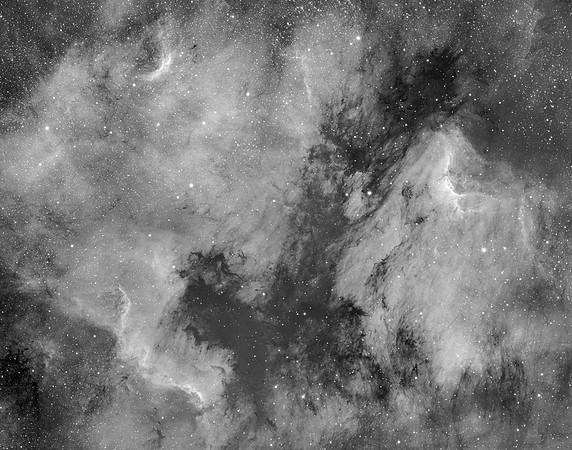 Stars Forming in Cygnus