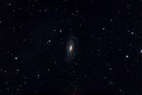 Spiral Galaxy NGC 5033