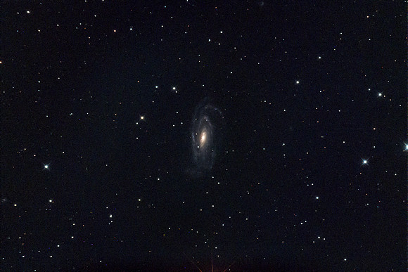 Spiral Galaxy NGC 5033