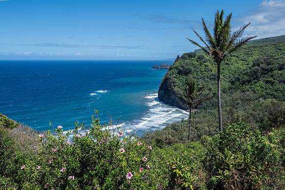 Pōlolu Valley Lookout, Hawai'i