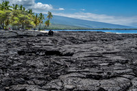 Pu'uhonua o Hōnaunau National Historical Park, Hawai'i