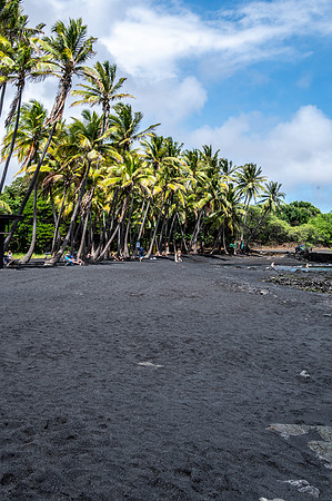 Punalu'u Black Sand Beach