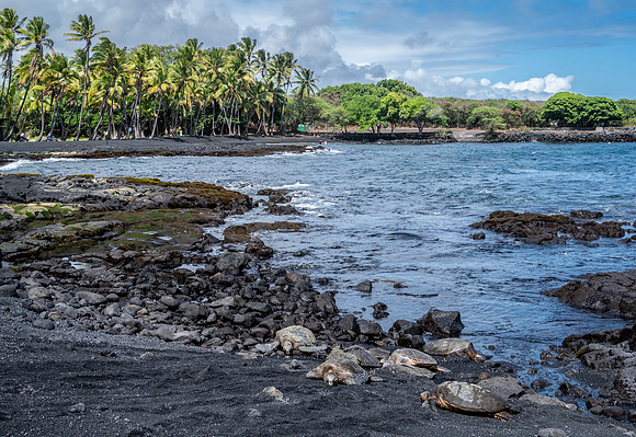Punalu'u Black Sand Beach