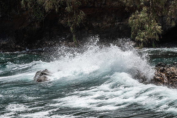 Surf's Up, Hawai'i Tropical Botanical Gardens