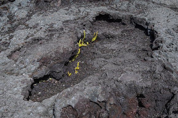 Hawai'i Volcanoes National Park