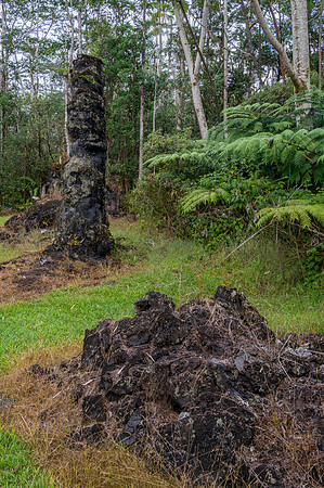 Lava Tree State Monument, Hawai'i