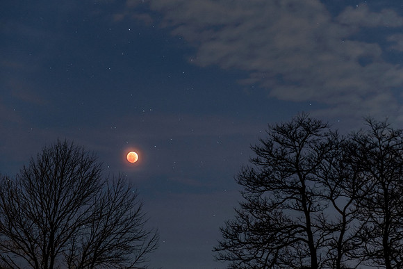Total Lunar Eclipse November 8, 2022