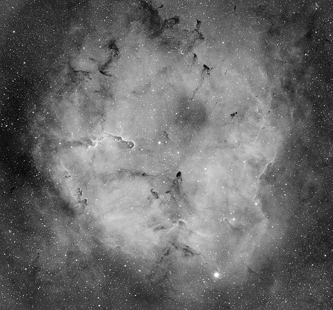 IC 1396, Elephant Trunk Nebula