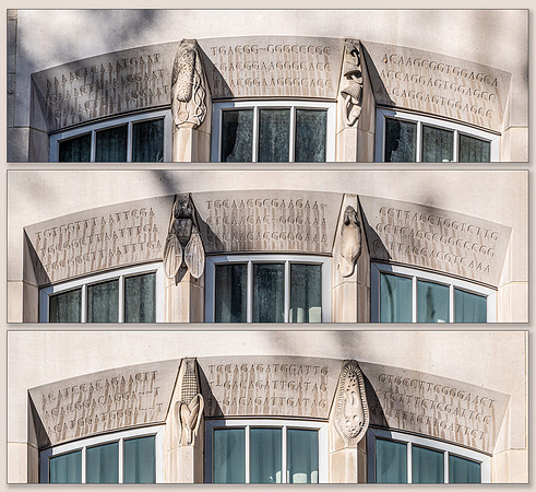 Simon Hall Stone Carvings