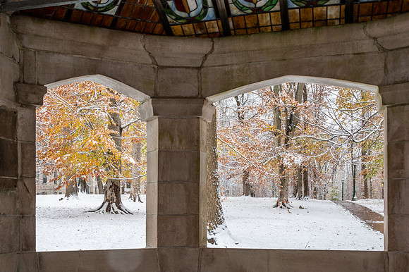 Fall Leaves in Snow from Well House