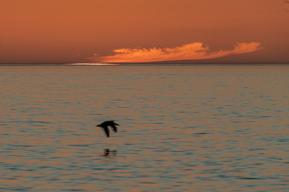 Sunset, Bowman's Beach, Sanibel Island, Florida
