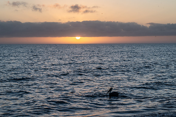Sunset, Bowman's Beach, Sanibel Island, Florida