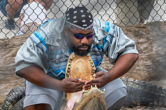 Alligator Wrangler, Wooten's Animal Sanctuary, Ochopee, Florida
