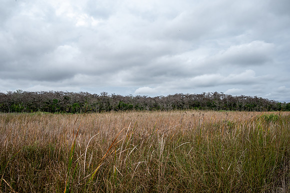 Everglades, Florida