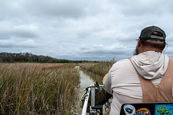 Swamp Buggy Tour, Everglades, Florida