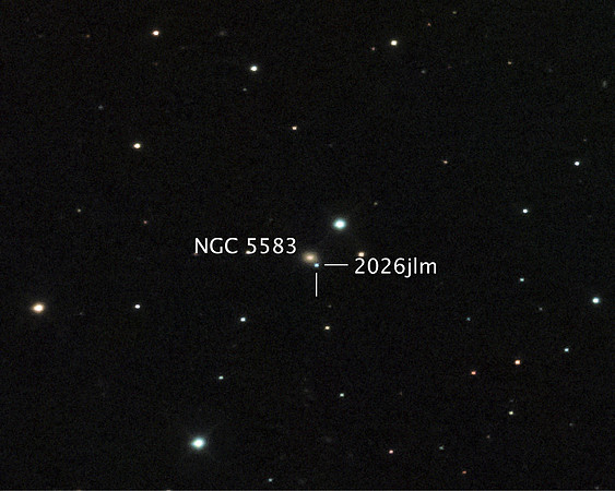 Supernova 2026jlm in Galaxy NGC 5583