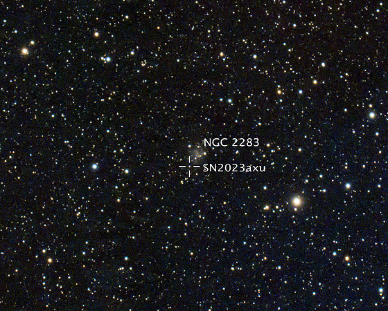 Supernova 2023axu in galaxy NGC 2283