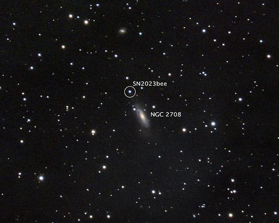 Supernova 2023bee in NGC 2807