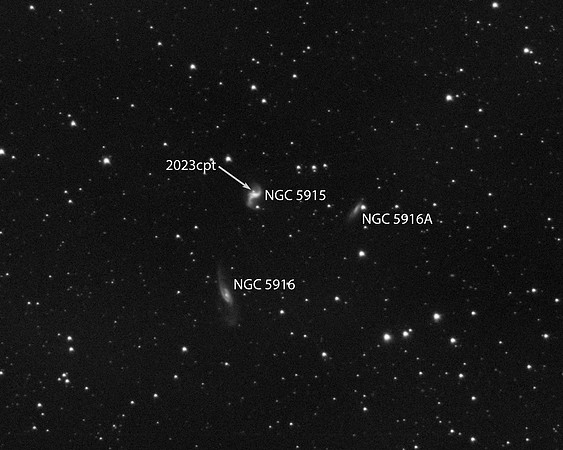 Supernova 2023cpt in Galaxy NGC 5915