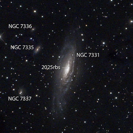 Supernova 2025rbs in spiral galaxy NGC 7331