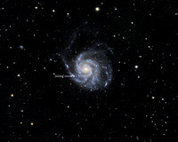 Supernova 2023ixf in Spiral Galaxy M101
