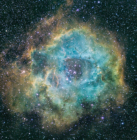Rosette Nebula