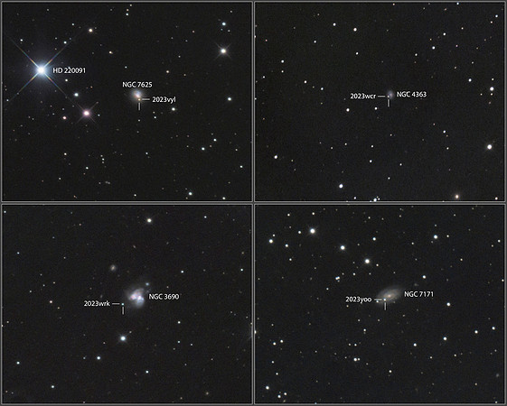 Supernovae 2023vyl, 2023wcr, 2023wrk, 2023yoo
