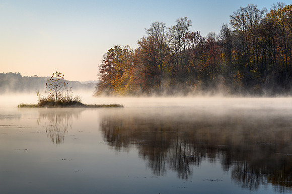 Misty Yellowwood Lake Sunrise