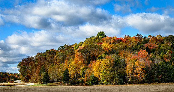 Brown County Fall