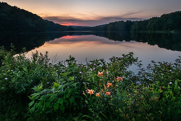 Yellowwood Sunset