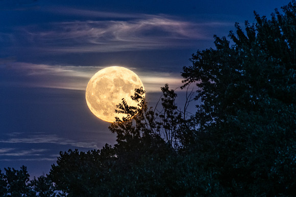 Rising Harvest Moon