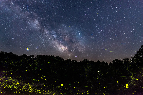 Milky Way and Fireflies