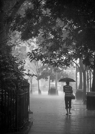 Walking in the Rain