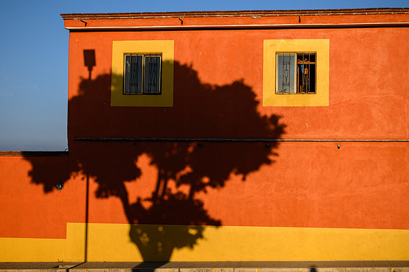 Tree Shadow, Teotitlán