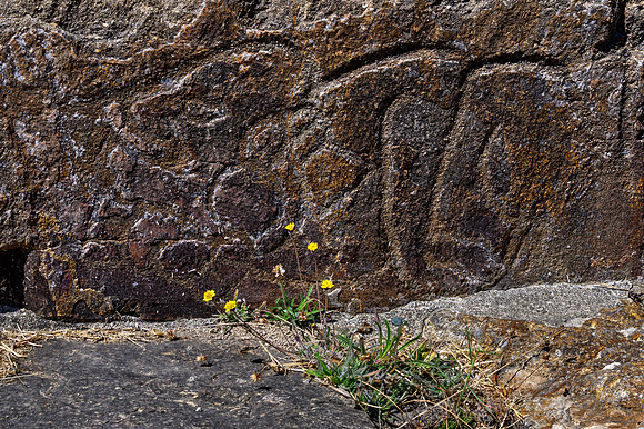 Carved Stone, Monte Albán