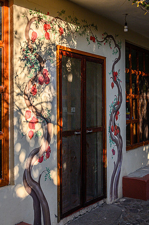 Kitchen Door