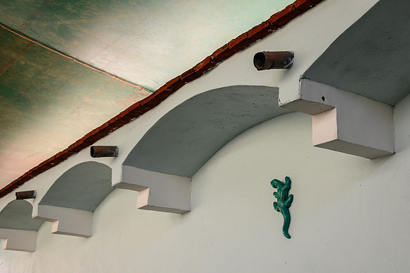 Lizard Decoration