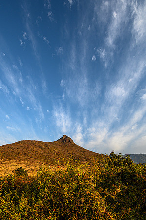 Picacho
