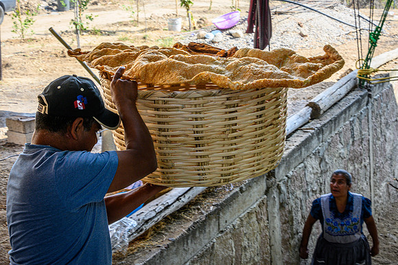 Fried Pork Skins