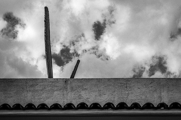 Teotitlán Roof