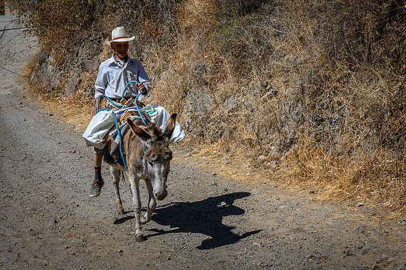 Riding a Burro