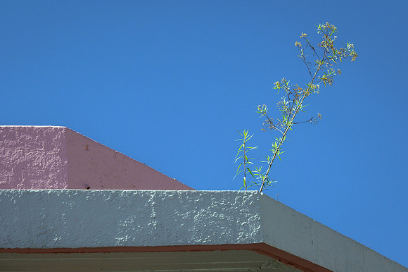 Oaxaca Colors