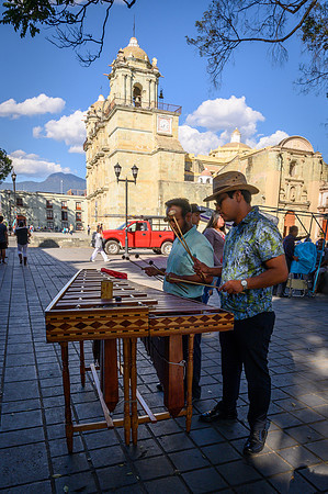 Oaxaca Street Musicians