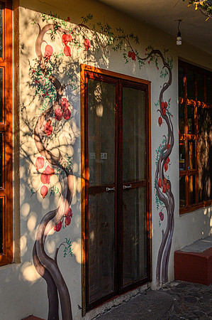Kitchen Door