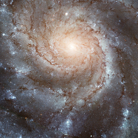 Spiral Galaxy M101