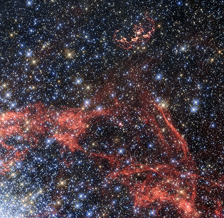 Search For Stellar Survivor of a Supernova Explosion