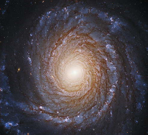 Hubble Uncovers Black Hole Disk that Shouldn't Exist