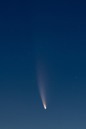 Comet C/2020 F3 (NEOWISE)