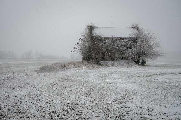Overgrown, WInter
